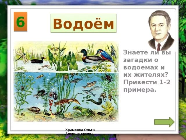 Загадка водоем. Загадки про водоемы. Загадки про водоемы для детей. Загадки о жителях водоемов. Загадка про пруд для детей.