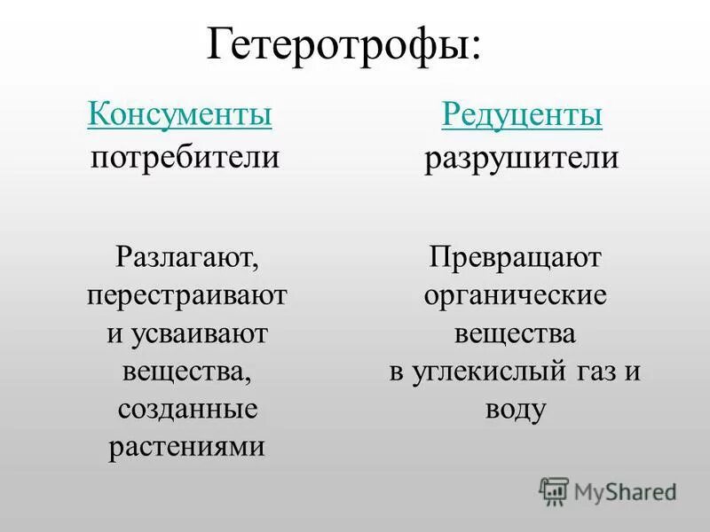 Чем отличаются консументы первого. Гетеротрофы. Гетеротрофы консументы и редуценты. Гетеротрофные организмы подразделяются на .... Гетеротрофные организмы консументы.