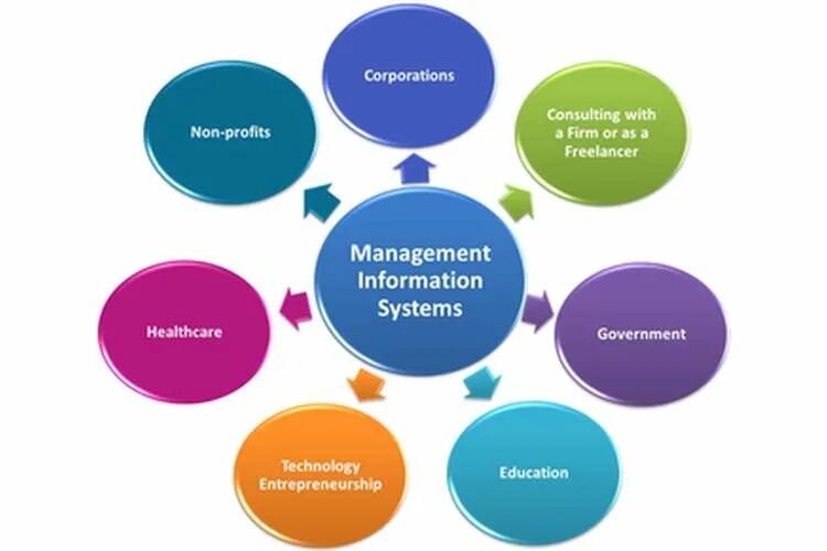 Management information system. Management information Systems. Mis Management information System. Mis (Management information System) примеры. Education Management information System.
