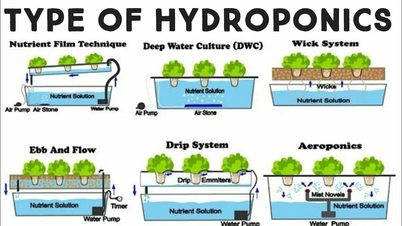 Гидропоника система питательного слоя. NFT гидропоника схема. Гидропоника растений техника питательного слоя. Ультразвуковая аэропоника схемы. Nft как работает