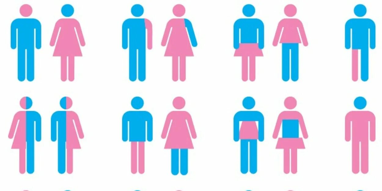 Гендеры. 100 Гендеров. Гендерное многообразие. Половая человека рисунок.