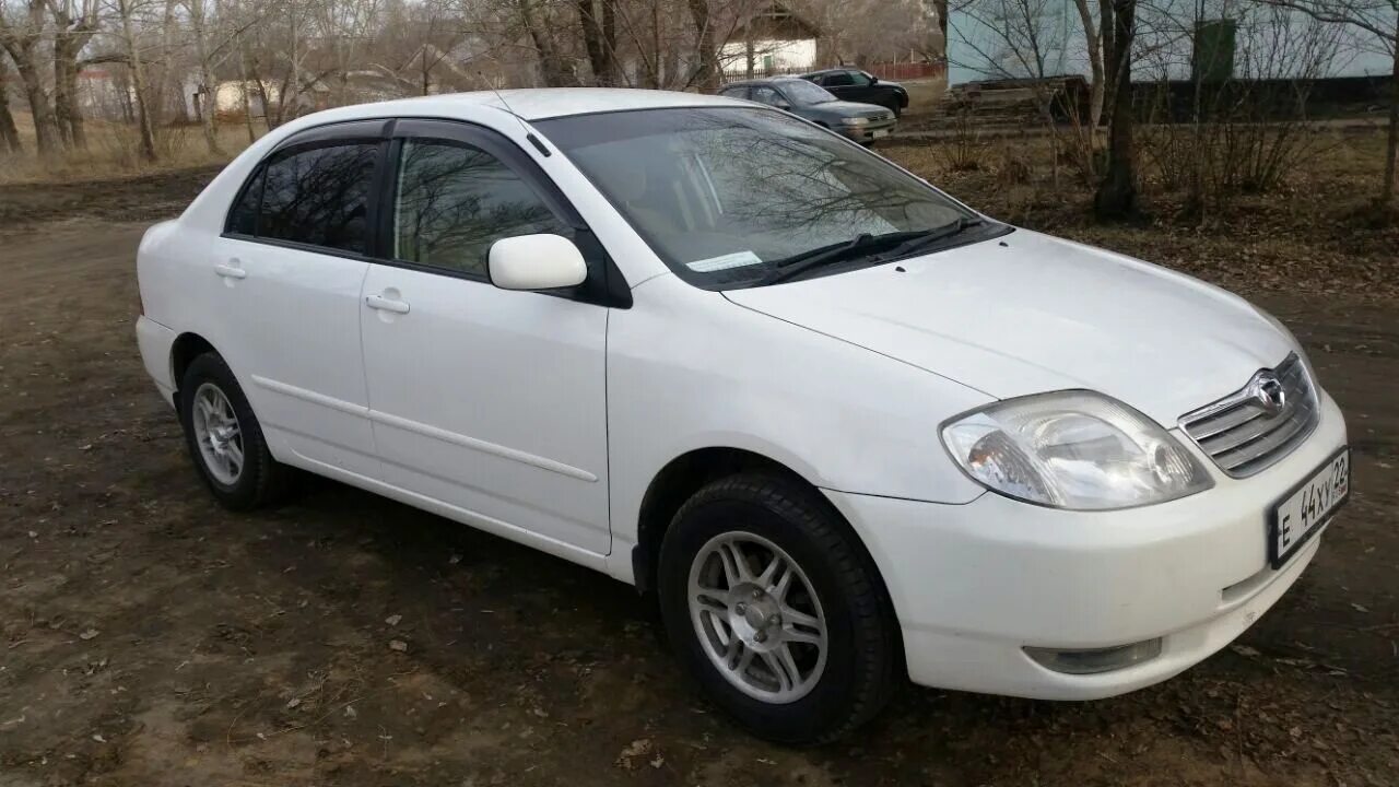 Тойота королла 2002 купить. Toyota Corolla 2002. Тойота Королла 2002 года. Тацоат Королла 2002. Тойота Королла белая 2002.