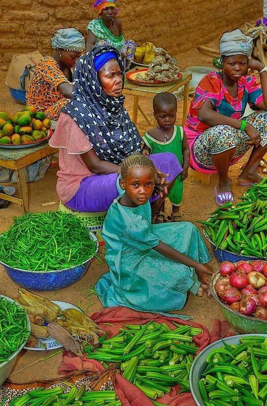 They lives in africa. Рынок в Африке. Буркина Фасо женщины. Фрукты собранные заботливыми руками африканского народа. Какие фрукты растут в Буркина Фасо.