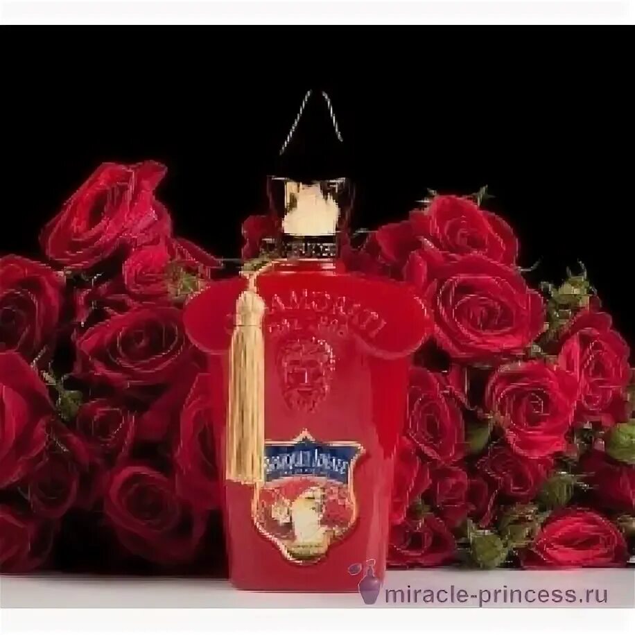 Casamorati ideal Bouquet. Духи Casamorati Bouquet ideale. Ксерджофф Касаморати идеальный букет. Bouquet ideale Xerjoff.