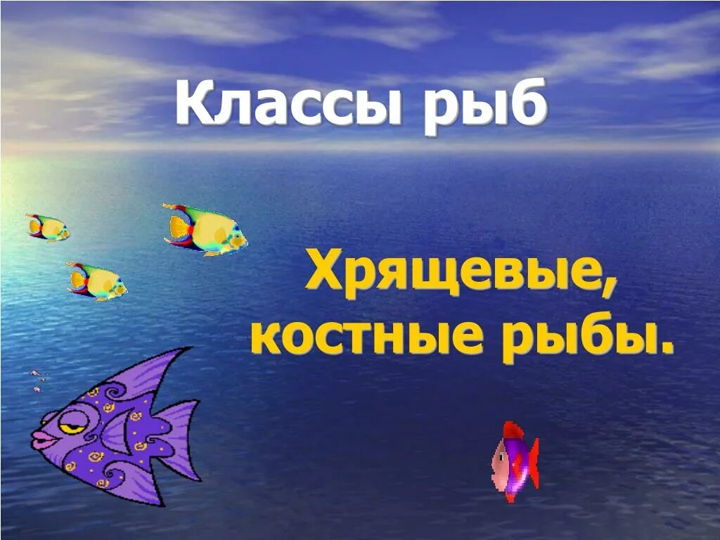 Русский 8 класс рыб. Презентация на тему классы рыб. Классы рыб. Тема для презентации в POWERPOINT рыбы.