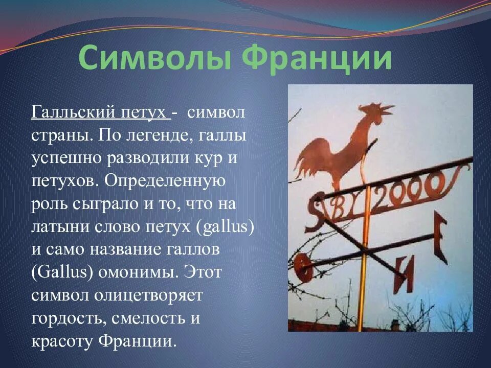 Символом чего является произведение. Галльский петух Франции. Галльский петух символ. Галльский петух французский символ. Символ Франции петух почему.