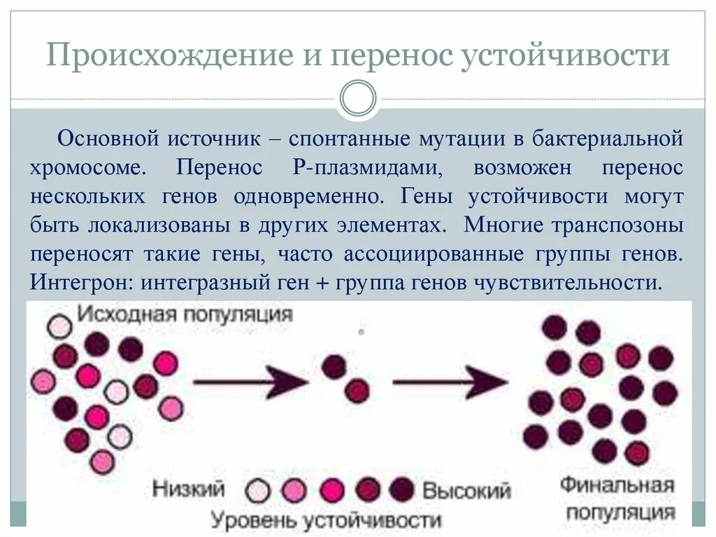 Происхождение бактерий. Перенос генов резистентности. Гены устойчивости. Перенос транспозонов бактерий.