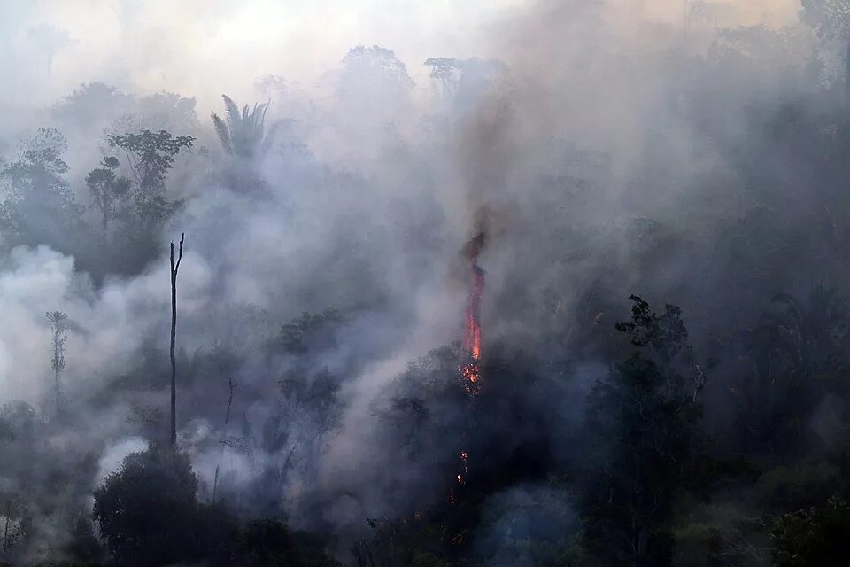Ночью кидает в жар. Аномальная жара и пожары. Лесные пожары в Венесуэле. Пожары в джунглях амазонки. Лесные пожары в Бразилии статистика.