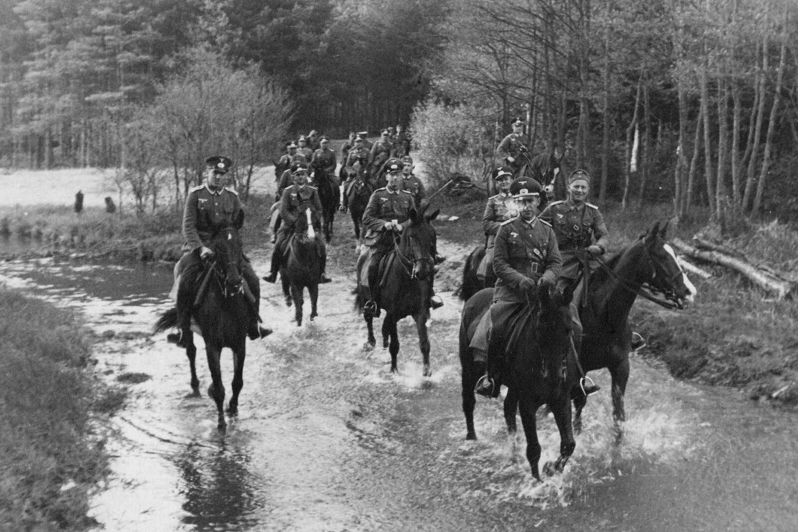 Кавалеристы вермахта. Кавалерия в ВОВ 1941. Кавалерия вермахта 1939-1945. Советская кавалерия в ВОВ 1941-1945. Кто такие кавалеристы