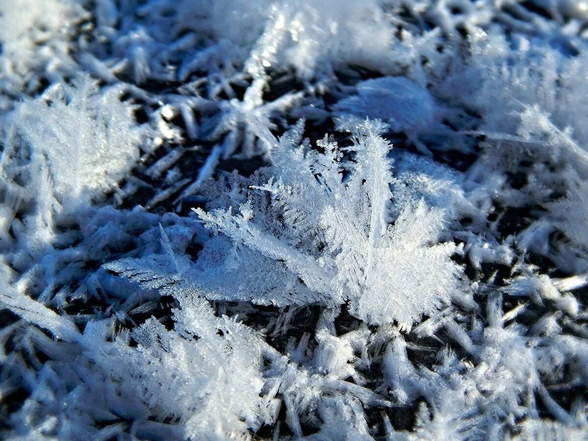 Красивая картинка со снегом. Зима снежинки. Снежинки в природе. Nyt;BYRB. Снежные узоры.