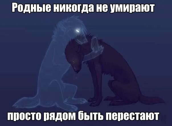 Друг это ведь навсегда