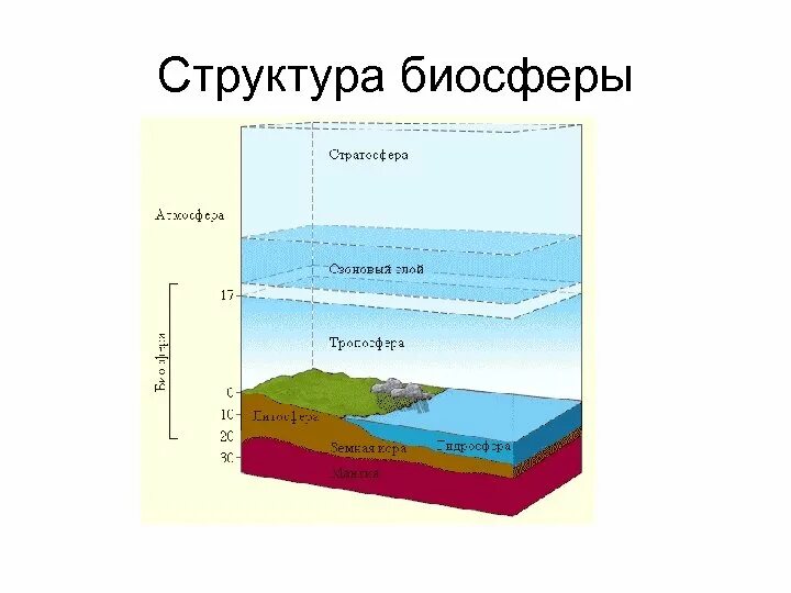 Биосфера это оболочка земли населенная живыми организмами. Биосфера состав и строение. Состав и структурное строение биосферы. Строение биосферы земли. Структура биосферы схема.