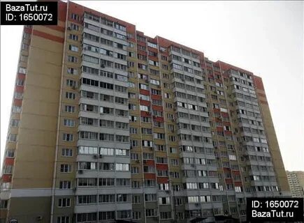 Платона клята ростов