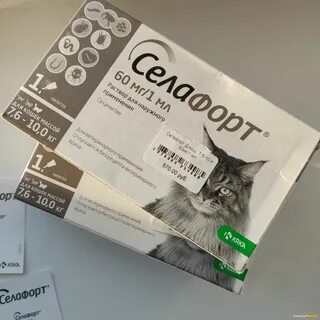 Селафорт отзывы