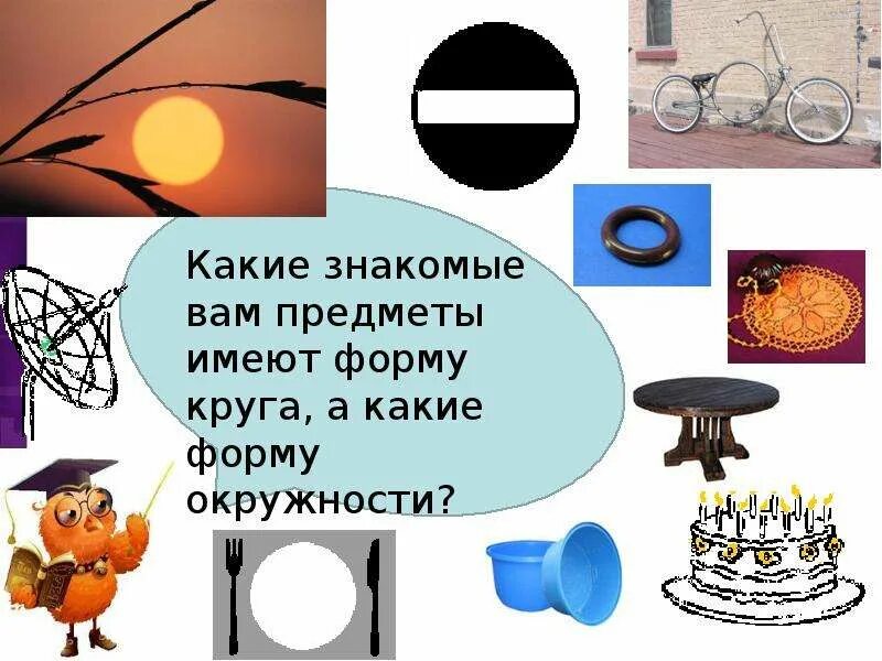 Что имеет форму круга. Предметы имеющие форму окружности и круга. Предметы в форме круга и окружности. Предметы которые имеют форму окружности и круга. Какие предметы имеют форму круга.