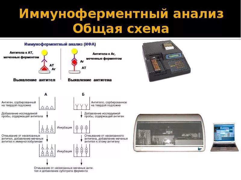 Ифа какой анализ. Иммуноферментный метод схема. Непрямой метод ИФА схема. Реакция иммуноферментного анализа. Иммуноферментный анализатор ИФА.