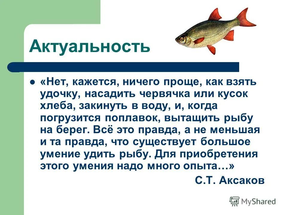 Текст летняя рыбалка. Рассказ про рыбалку. Рыбалка для презентации. Вывод о рыболовстве. Проект на тему рыбалка.