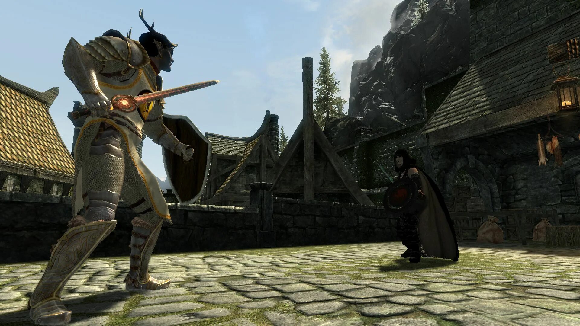 Музей драконорожденного скайрим. Skyrim plugin. Скайрим 3dnpc0. Спавн npc скайрим. Скайрим меховые накидки.