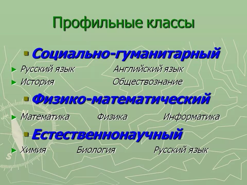 Профильные классы. Профильные направления в школе. Профильные направления в 10 классе. Профильный класс виды.