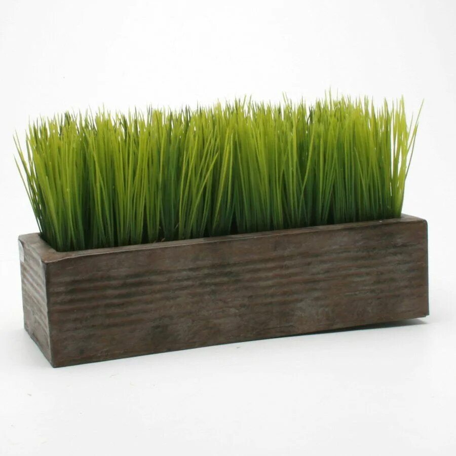 Grass plant. Кашпо икеа Осока. Grass Box микрозелень. Декоративная трава в горшке. Длинный горшок для цветов.