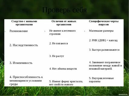 Отличие живой и неживой природы