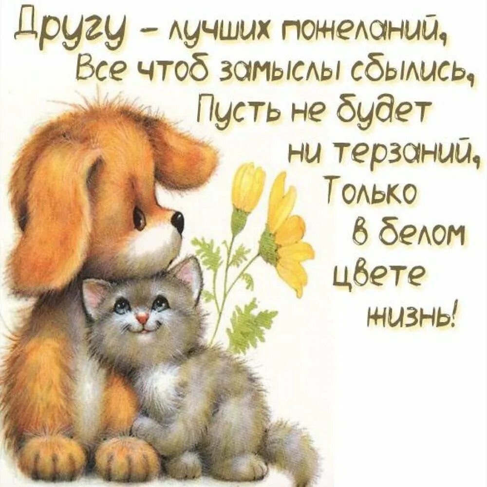 Лучшему мужчине желаю