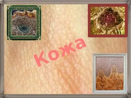 Өте әдемі және қызықты эротика