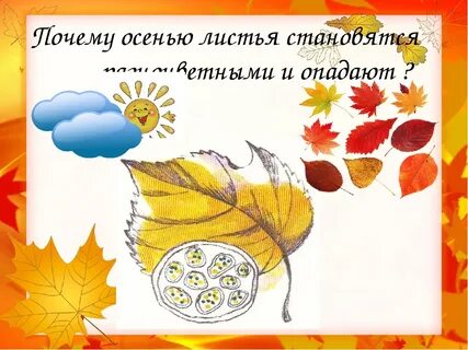 Сколько этой осенью листьев