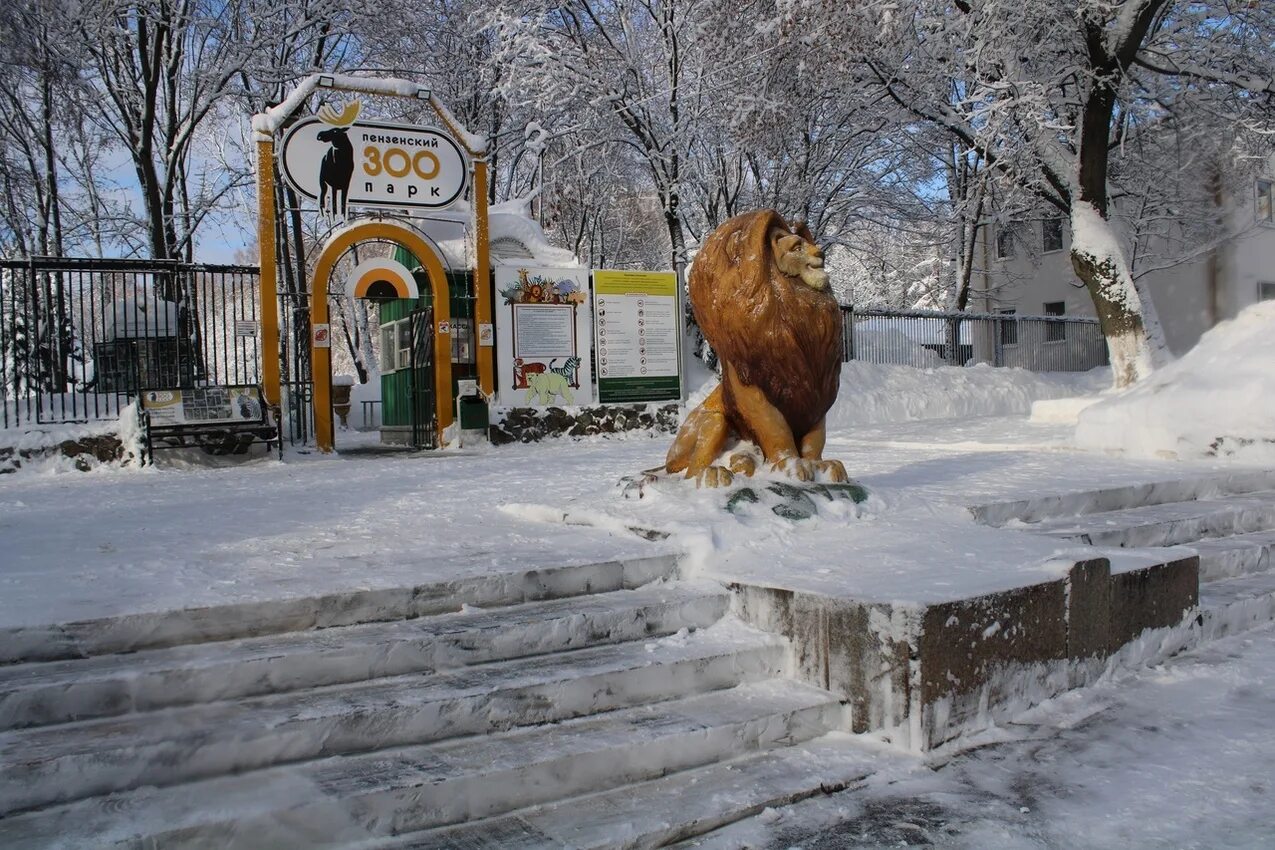 Пензенский зоопарк сайт. Зоопарк Пенза. Зоопарк Пенза фото. Пензенский зоопарк зимой. Пензенский зоопарк осень.