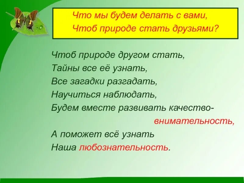 Загадки на тему природа. Загадки об окружающем нас мире. Загадки про окружающий мир. Загадки на тему Живая природа.