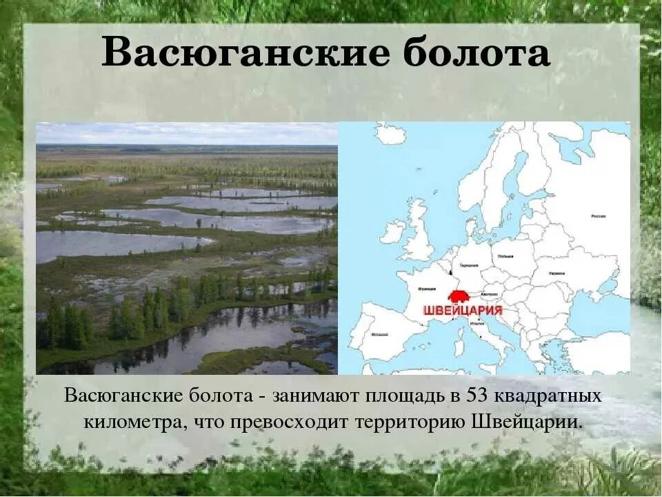 Территории болот в россии. Карта Сибири Васюганское болото. Васюганские болота на карте Западной Сибири. Большое Васюганское болото на карте России. Васюганские болота, Западная Сибирь.