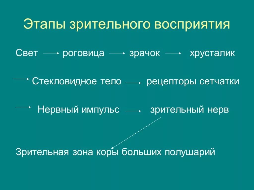 Этапы зрительного восприятия. Механизм зрительного восприятия. Порядок этапов зрительного восприятия. Этапы зрительной. Этапы восприятия информации