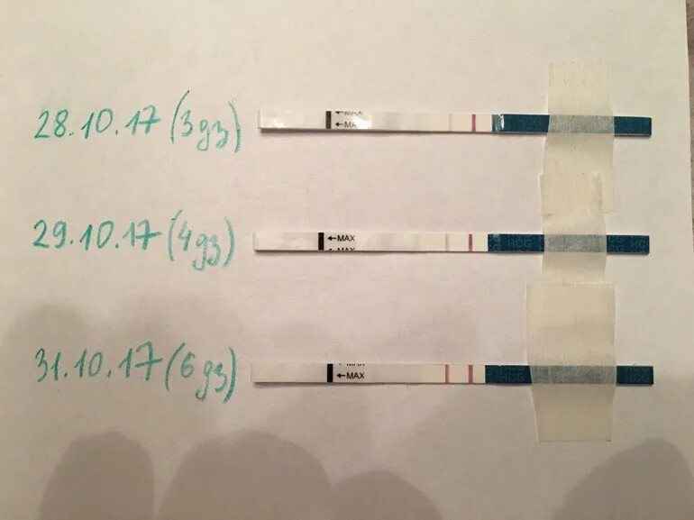 Тест на 3 день задержки. 4 Неделя беременности тест. Тест на 5 акушерской неделе. Первый день задержки ХГЧ тест. 4 5 дней задержки