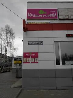 Сыктывкар бумажников
