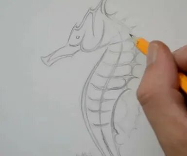 Видео как нарисовать морского