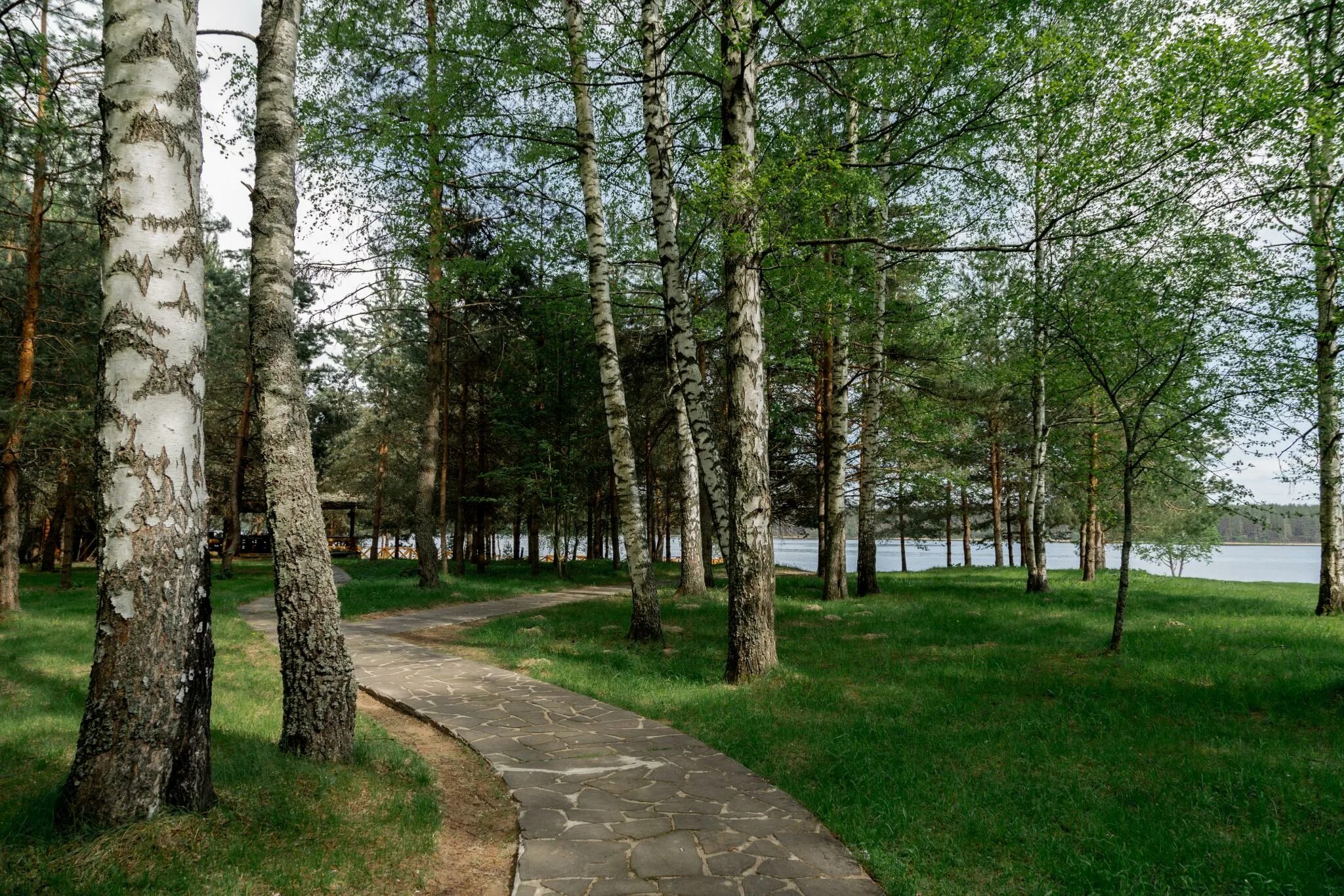 Подворье басовская