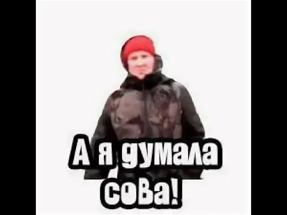 А я думала сова мем. А я думала сова. сова а я думала сова. а я думала сова видео.
