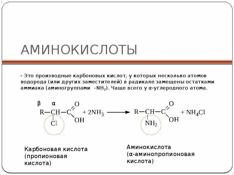 Аминокислоты это производные карбоновых кислот. Производные аминокислот. Функциональные производные карбоновых кислот. Амины это производные карбоновых кислот. Радикал аммиака