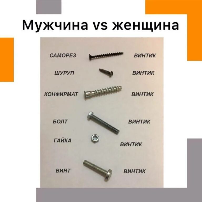 Винт и шуруп в чем разница. Винт болт шуруп саморез отличие. болт винт шпилька отличия. болт шуруп гайка отличия. гвоздь шуруп саморез винт болт.