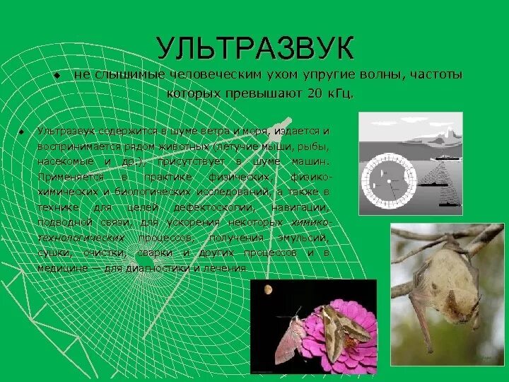 Применение инфразвука в медицине. Малая длина волны ультразвука позволяет. Ультразвук. Производственный ультразвук. Область доступная человеческому уху инфразвук ультразвук.