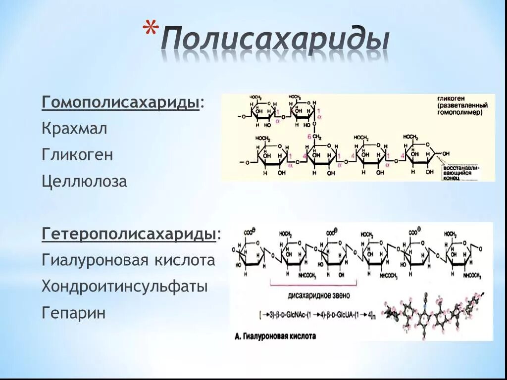 Глюкоза молекула полисахарида. Крахмал гликоген Целлюлоза структурные формулы. Полисахариды гетерополисахариды. Полисахариды крахмал гликоген. Строение полисахаридов формула.