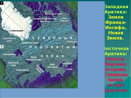 Арктический где находится