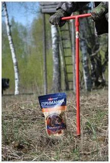 Приманка для кабана