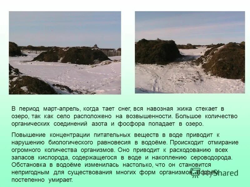 Когда твоя подруга шутит весь апрель. Апрель приметы месяца. Голубенький чистый подснежник-цветок а подле сквозистый. Апрель второй месяц весны. Майков голубенький чистый подснежник.