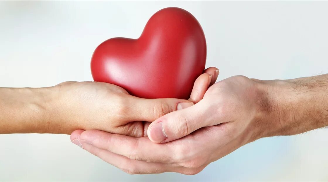 Благотворительная акция рука помощи. Социальная благотворительность. Благотворительная акция рука помощи. Рука помощи благотворительный. Рука помощи благотворительный.