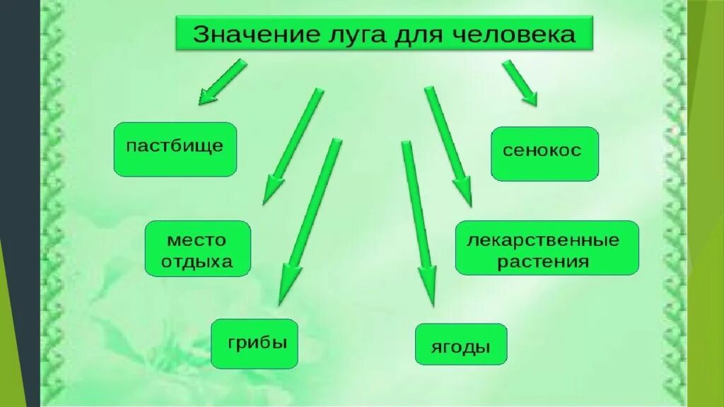 Схема природного сообщества. Природное сообщество луг. Природное сообщество луг 3 класс. Структура природного сообщества луг.