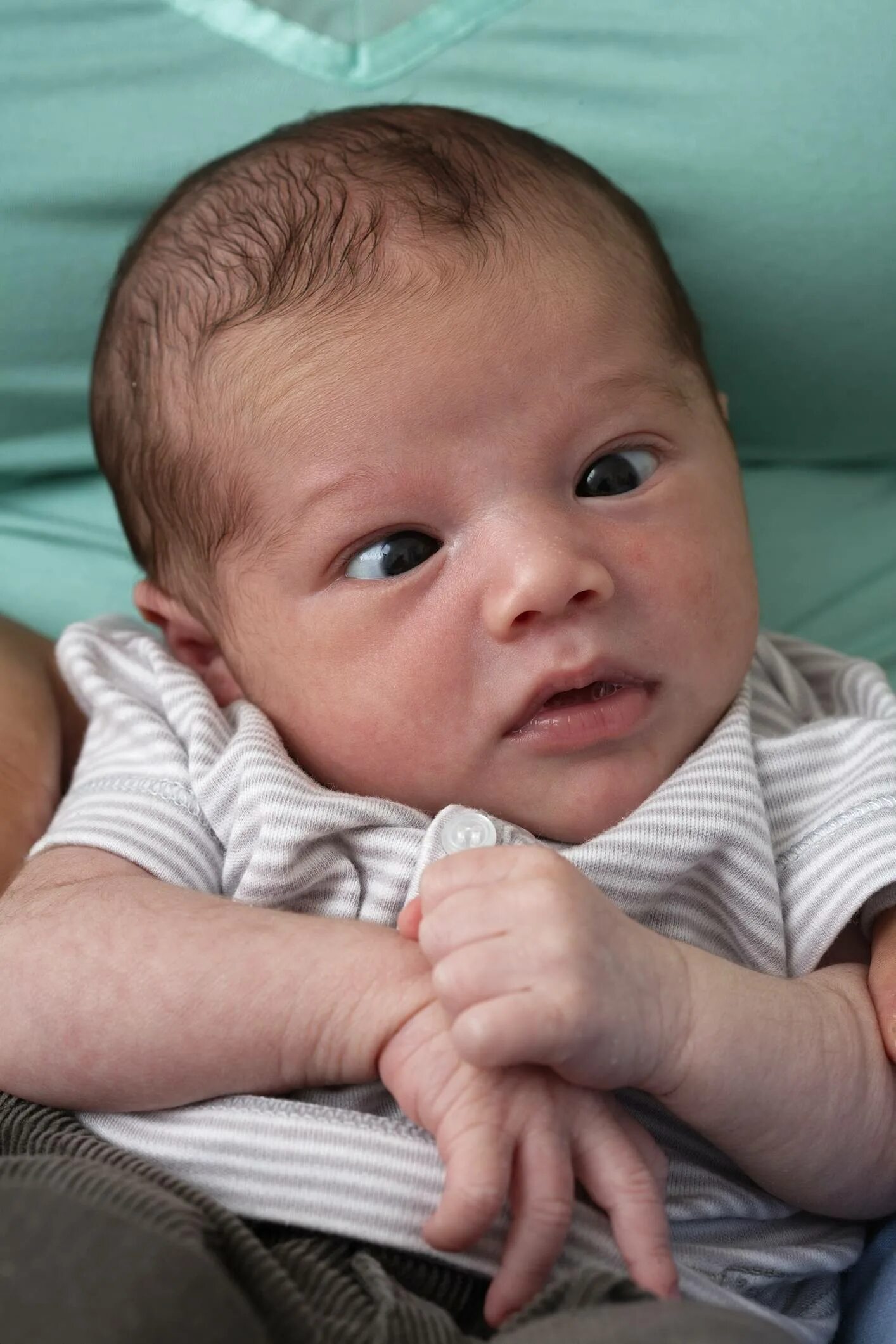 Почему косят новорожденные. Косоглазие у новорожденных. Глаза у новорожденных детей. Взгляд новорожденного. Врожденное косоглазие.