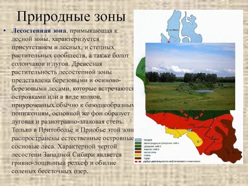 Западно сибирская равнина какая природная зона. Природно хозяйственные зоны Западной Сибири. Лесостепная природная зона. Рельеф лесостепной зоны. Лесостепная зона природные условия.