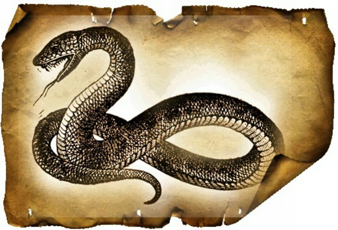 Змея значение символа. Змея древний символ. Древняя мифология змея. Мудрая змея. Изображение змеи.