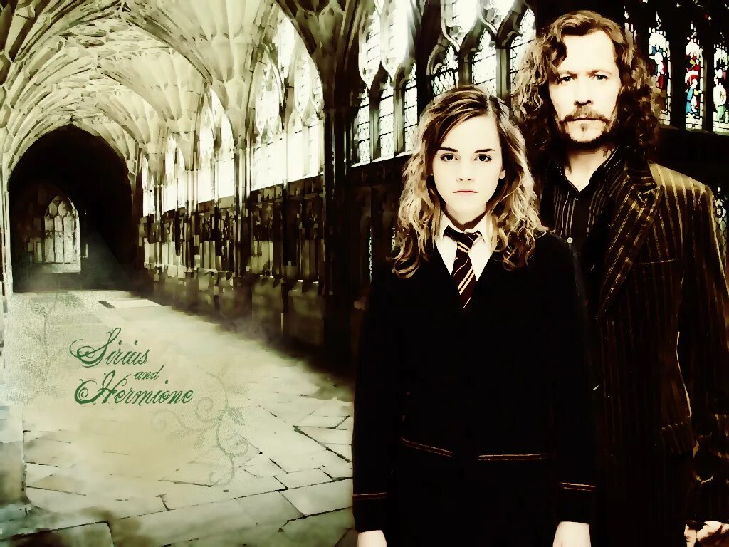 Блэк гет. Сириус блэк и гермиона грейнджер. hermione and sirius. фанфики гермиона и сириус блэк. сириус и гермиона.